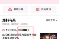 今日农村爆料视频最新,揭秘乡村新现象，带你走进真实农村生活