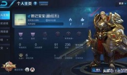 王者权威爆料在哪看啊视频,揭秘最新游戏动态