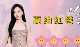 赵丽颖爆料明星视频播放,明星幕后视频播放背后的惊人真相