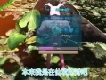 原始恐惧2在线观看,在线惊悚之旅，揭秘未知恐怖
