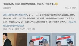 韩娱狗仔爆料事件视频,揭秘明星幕后真相