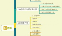 印度山区爆料视频大全集,揭秘神秘山野风情与民间故事