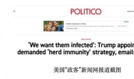 邮件爆料新闻,最新热点新闻事件深度解析