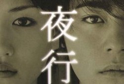 白夜行电视剧在线观看,探寻黑暗中的光明与救赎
