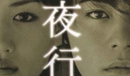 白夜行电视剧在线观看,探寻黑暗中的光明与救赎
