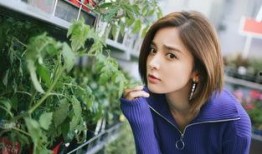 花房姑娘爆料视频播放下载,揭秘幕后故事