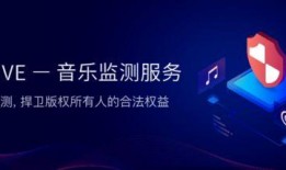 音乐版权爆料怎么做的视频,视频生成全攻略