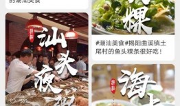 潮汕酸菜爆料视频大全集,视频大全集带你领略地道潮汕酸菜魅力