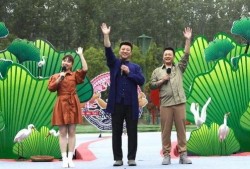 宜宾万达爆料事件视频最新,真相与争议交织的幕后真相