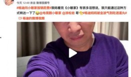 直播爆料杨迪最新视频,揭秘幕后故事与精彩瞬间