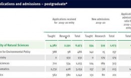 襄阳新闻大爆料视频最新