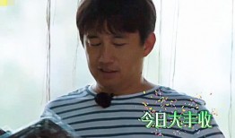 黄磊爆料娱乐圈事件,揭秘明星背后的真实故事