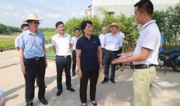 儋州爆料新闻最新情况,突发事件引发关注，真相即将揭晓！