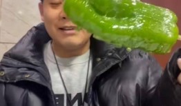 网红吃瓜吴楚一,揭秘娱乐圈幕后真相