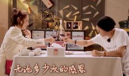张卫健爆料张茜视频全集,视频全集深度解析