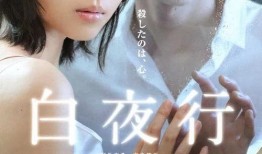 白夜行电视剧在线观看,探寻黑暗中的光明与救赎