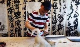 崔永元爆料最新视频,揭露娱乐圈惊人内幕