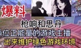 爆料小飞主播视频在线观看,独家视频在线观看，带你领略直播魅力
