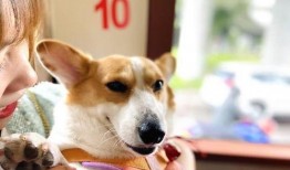 最新娱乐718吃瓜爆料