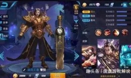 王者权威爆料在哪看啊视频,揭秘最新游戏动态