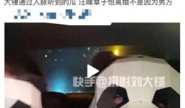 刘大锤爆料汪峰视频在线观看,汪峰神秘视频在线观看，独家爆料引热议