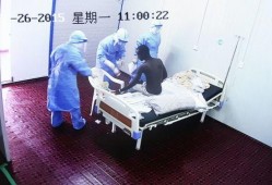 人体宴在线观看,揭秘神秘食文化背后的惊悚真相