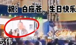 去缅甸投资人爆料视频,揭秘投资人爆料视频背后的真相