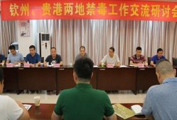 贵港最新爆料消息新闻,揭秘重大事件背后真相