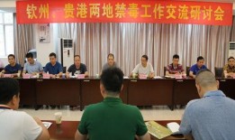 贵港最新爆料消息新闻,揭秘重大事件背后真相