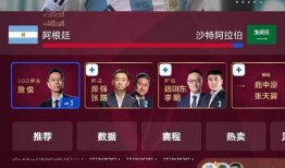 世界杯解说爆料视频,解说员爆料精彩瞬间