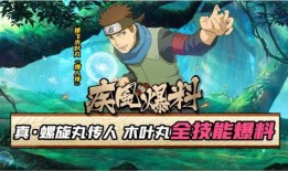 木叶丸官方爆料视频大全