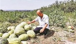 沾化区吃瓜最新事件爆料,揭秘背后真相与争议