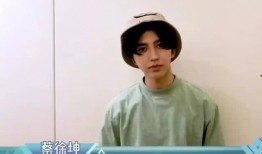 爆料蔡徐坤被删视频,揭秘背后真相与网络舆论风暴