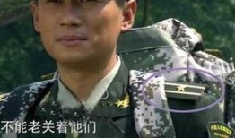 何晨光被爆料了吗视频全集,真相与争议交织