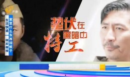大门牙宣传爆料视频大全,热门宣传爆料视频大盘点
