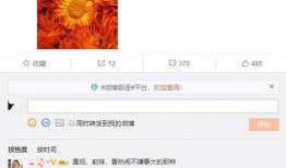 今日一线爆料有用么,揭秘实用信息，助力生活决策
