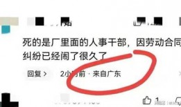 东莞开发商爆料案件最新,揭秘背后利益纠葛与法律博弈