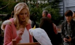 蜻蜓侠 在线观看,在线观看，揭秘神秘英雄的传奇故事